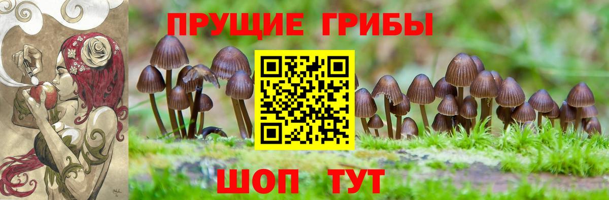 Галлюциногенные грибы GOLDEN TEACHER  Галлюциногенные грибы GOLDEN TEACHER  Тельмана  Вход с VPN 
